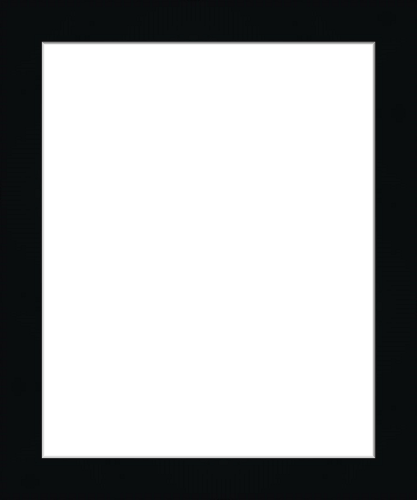 8" x 10" Frame - Black Satin. Includes Standard Plexiglass and Foam Backing Board. Unlimited Choice, Fast & Easy. Since 2012, Serving Artists Across the Country. Made in USA