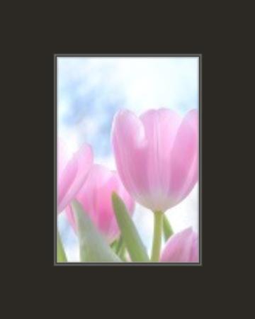 Conservation Thick Black Core