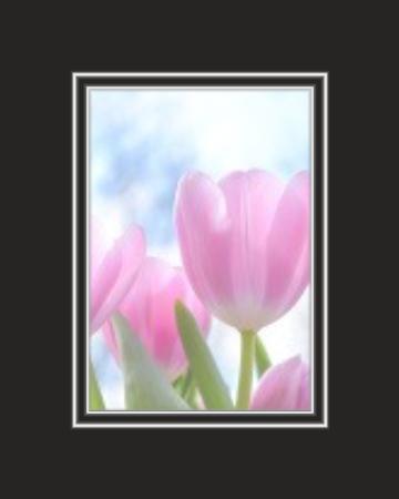 Conservation White Core