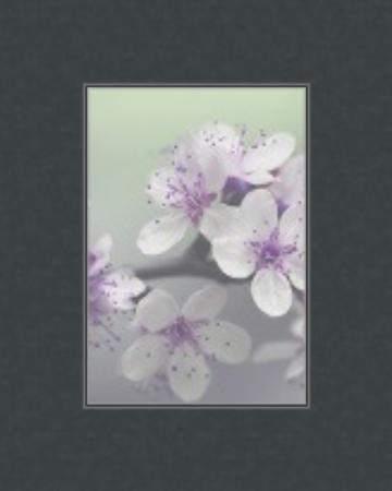 Decorative Black Core