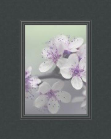 Decorative Black Core