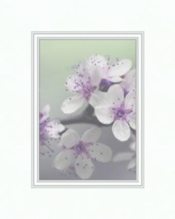 Decorative White Core